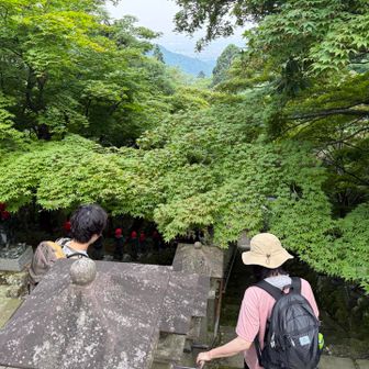 大山寺で休憩を入れて、一気に下山っ💨💨