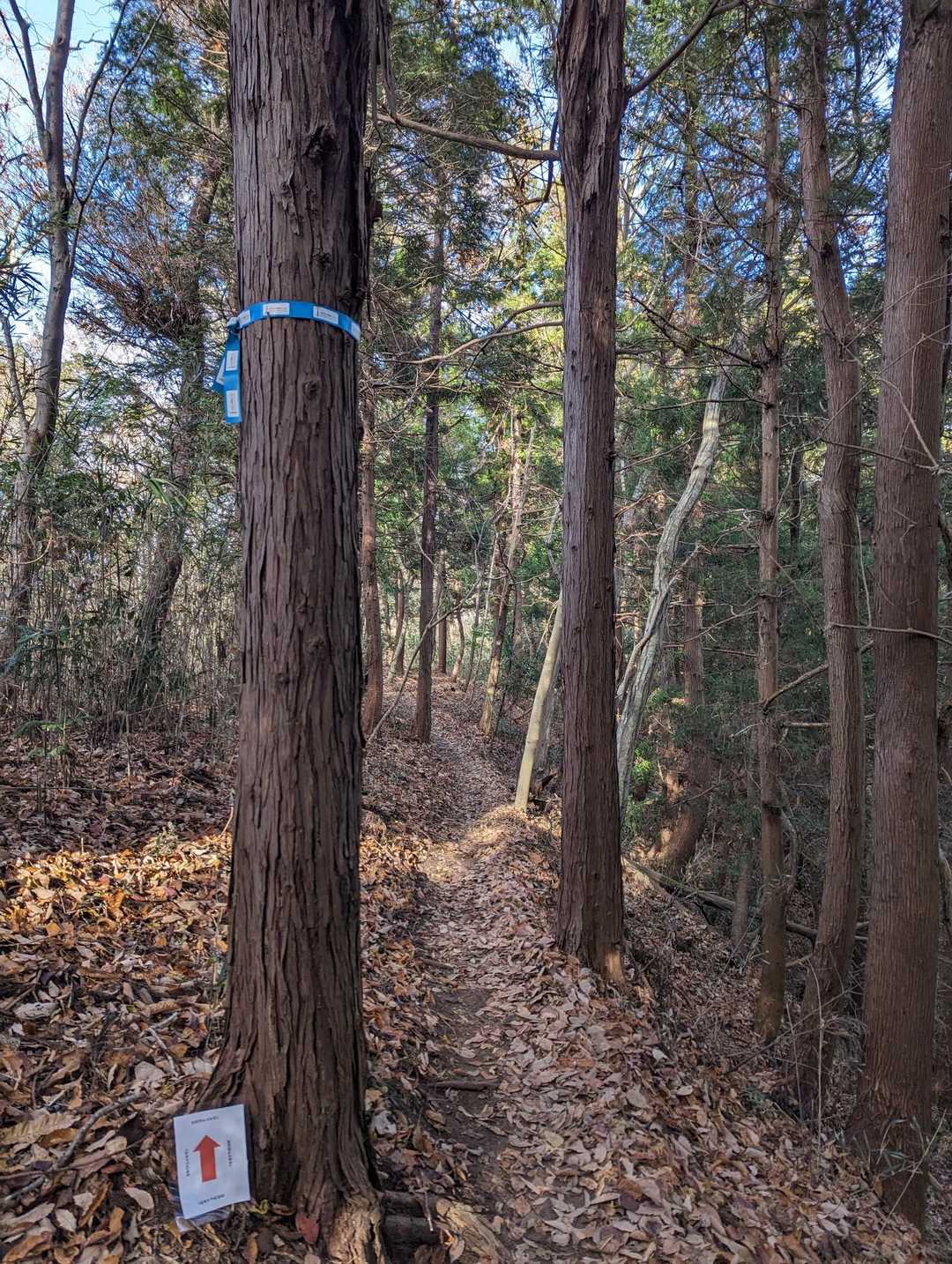 潮風テープも健在👌