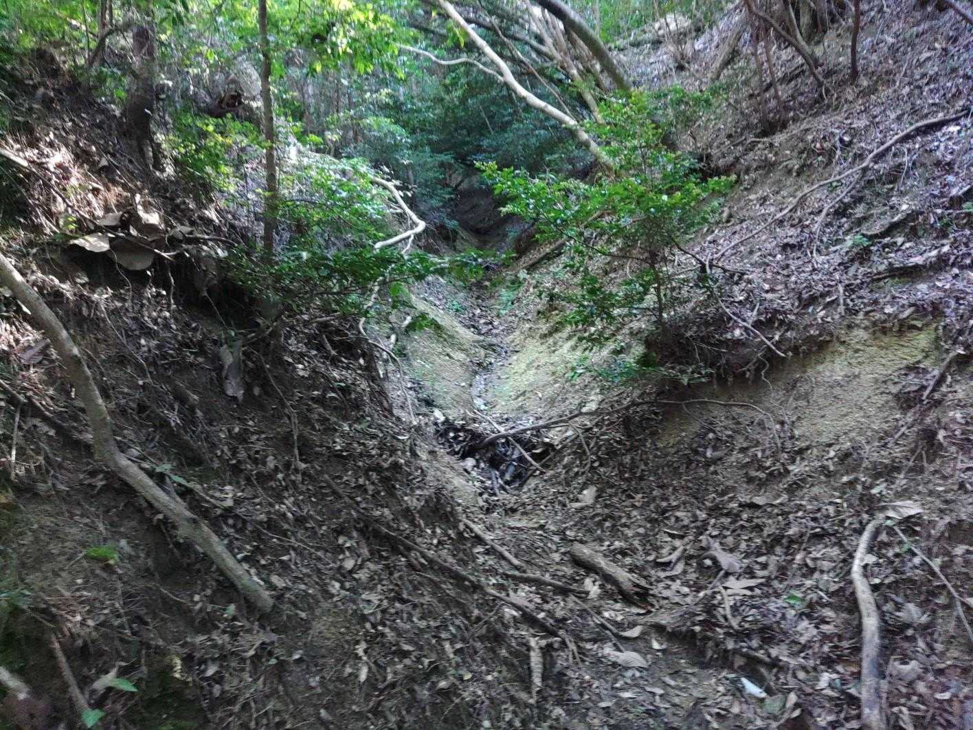 こんな溝を登りますが、、
ヤマップ見ると「注意！」
「まっすぐ行くと倒木、土砂で通れません」って書いてます。