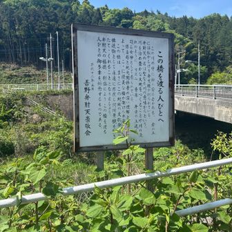 だそうです