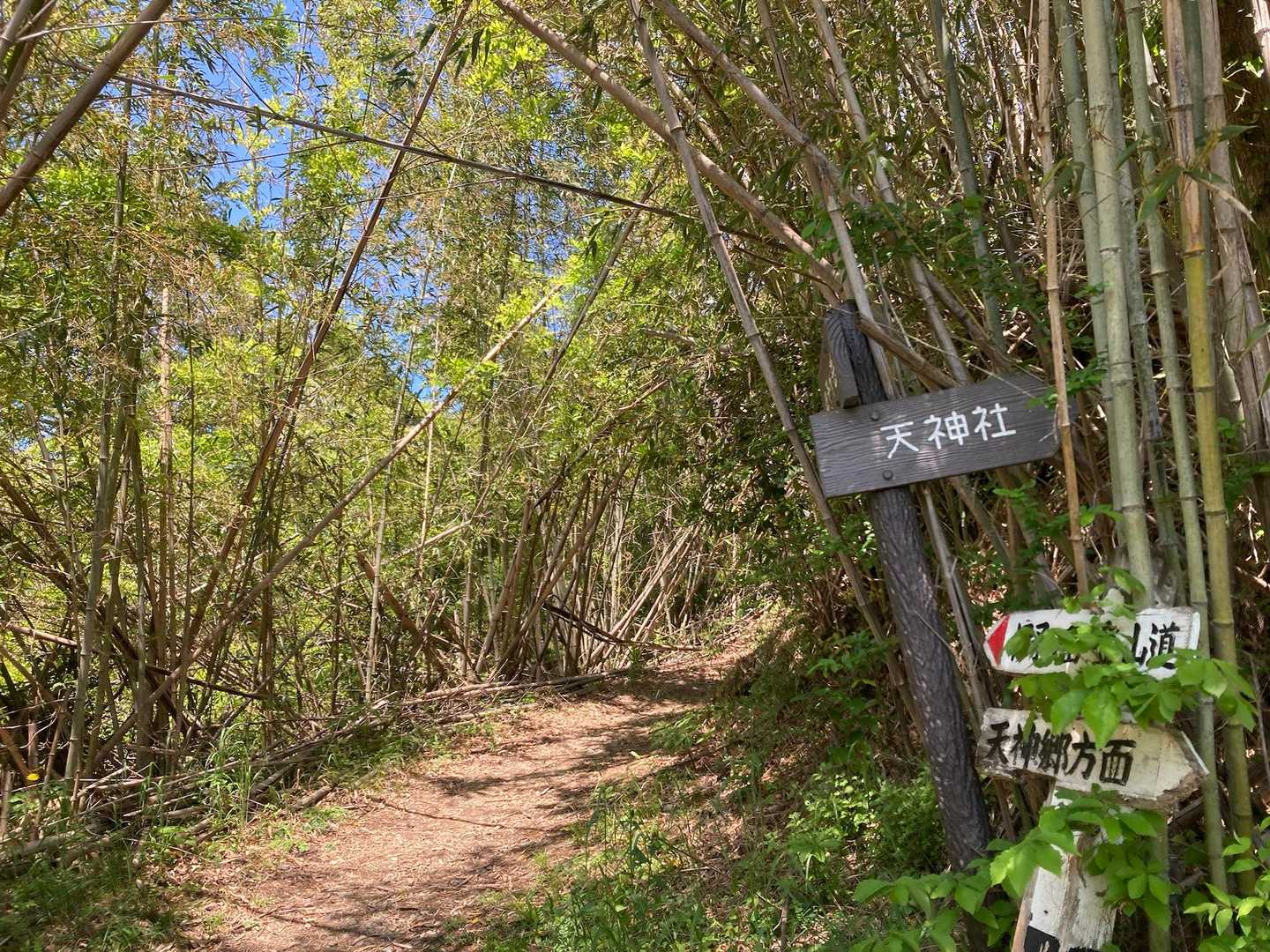伊予ヶ岳 周回コースの写真