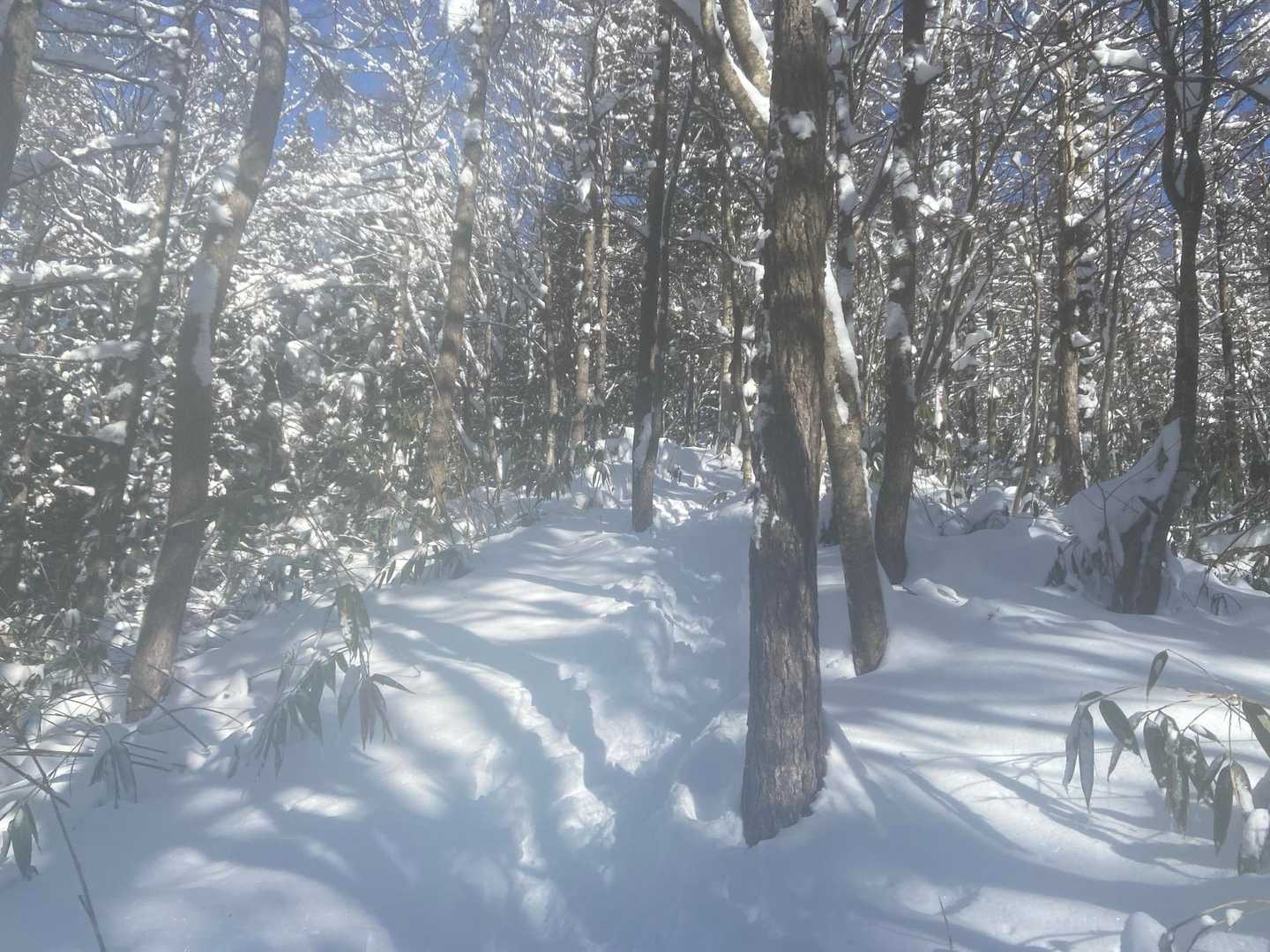 落雪注意⚠️