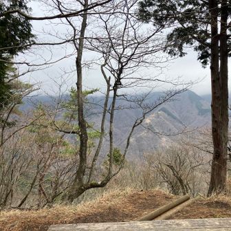 今度歩く事になるだろう表尾根を紹介しようと思ったらガスガスでした🤣