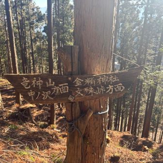 竜神山方面に行くと兎岩経由で下山ですが、品刕まで行ってみることに(´∀｀)