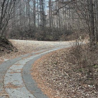 登山口まで冬季閉鎖してるから1.5kmぐらい舗装路