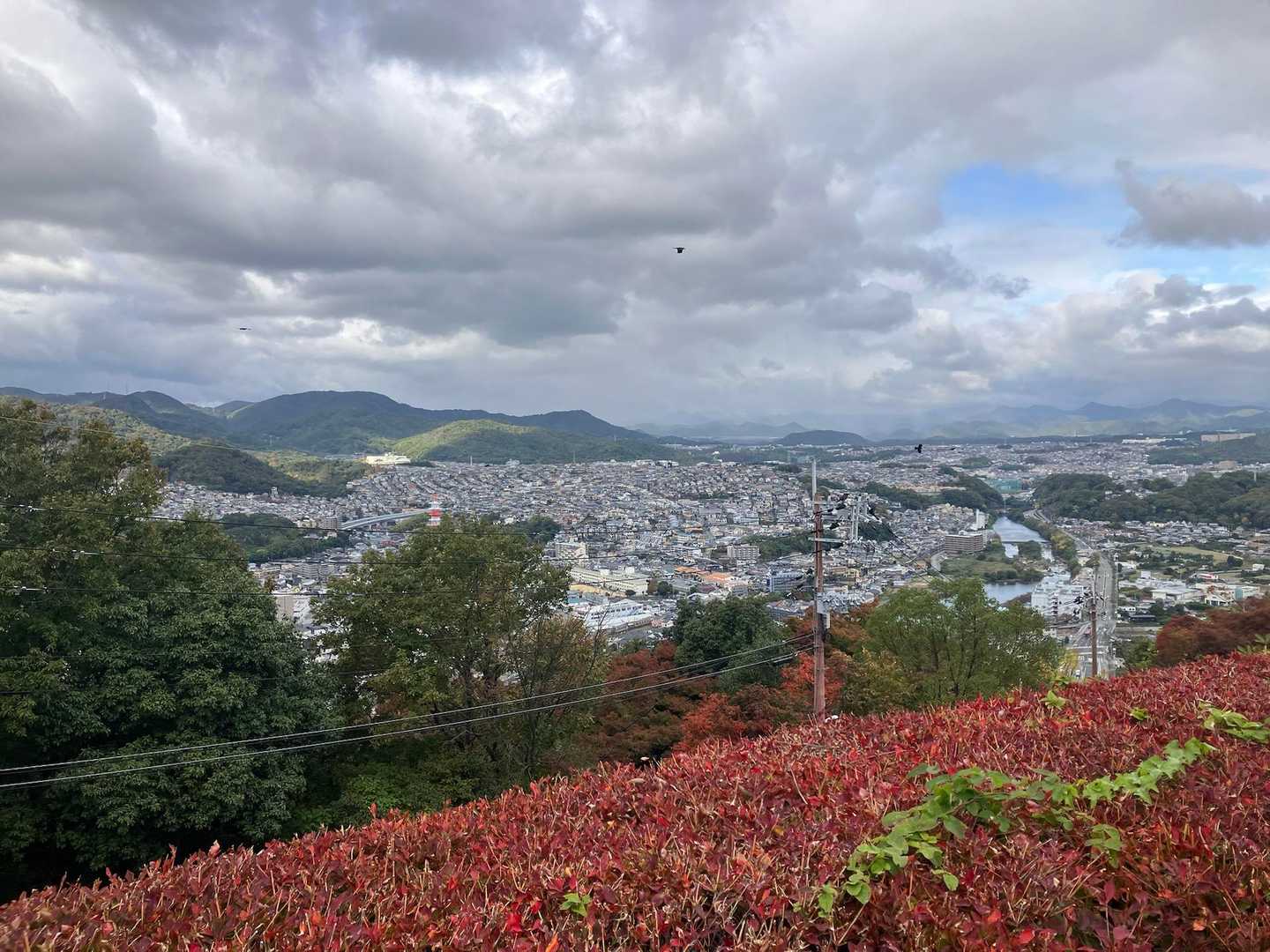 見晴らし良きー