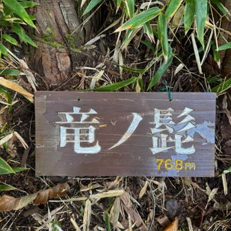 竜ノ髭...768m