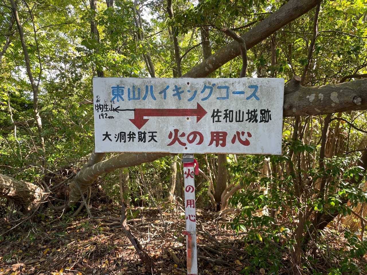 大洞弁財天は後でお伺いさせて頂きます。
先に物生山(むしやま)へピーク取りに行きます🚩