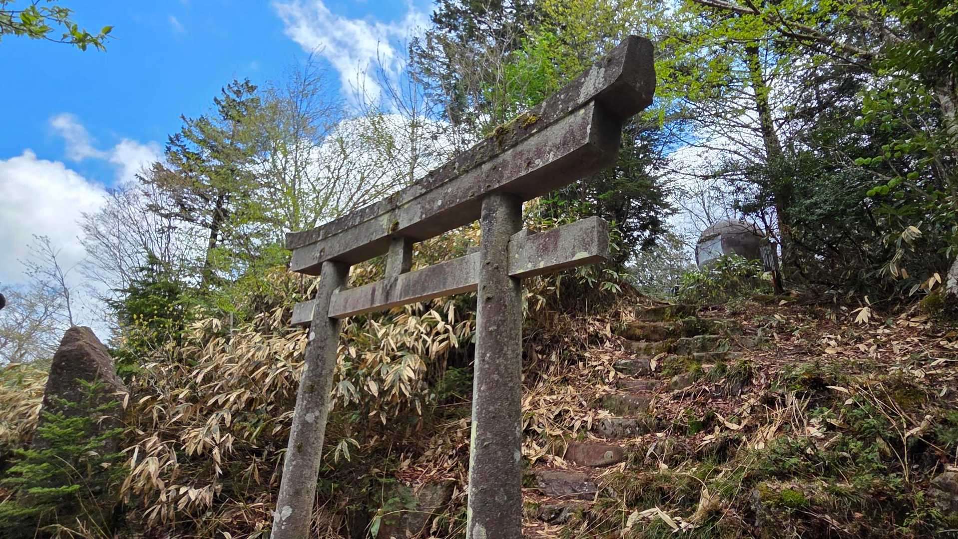 隣に鳥居⛩️