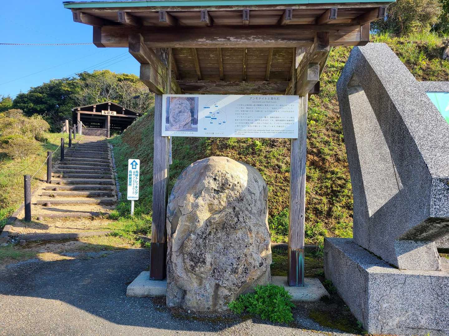 化石