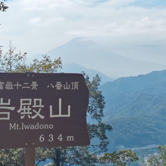 少しずつ姿を見せてくれました🗻