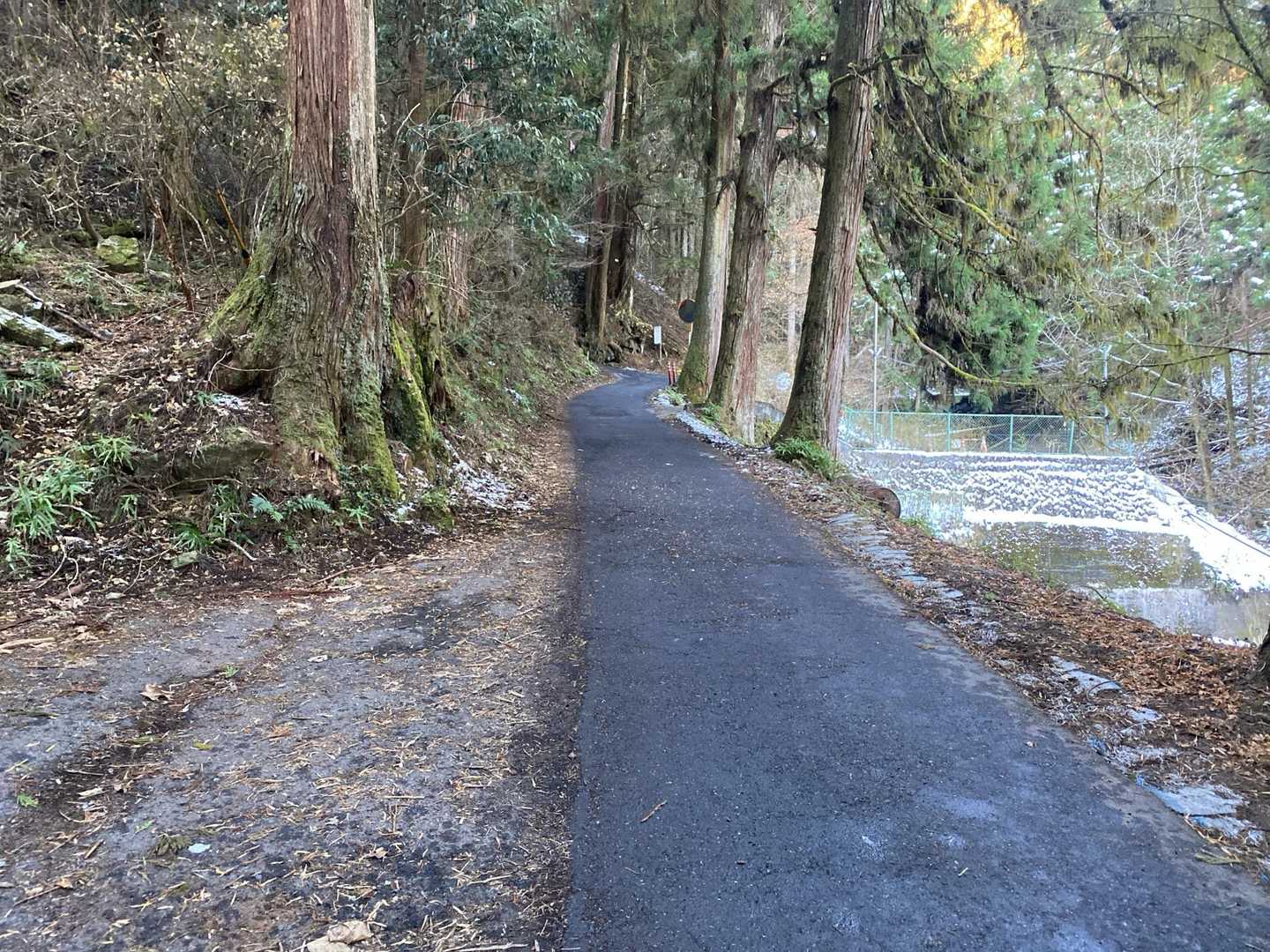 生活道路も兼ねているので、融雪剤とかの対策はされている模様