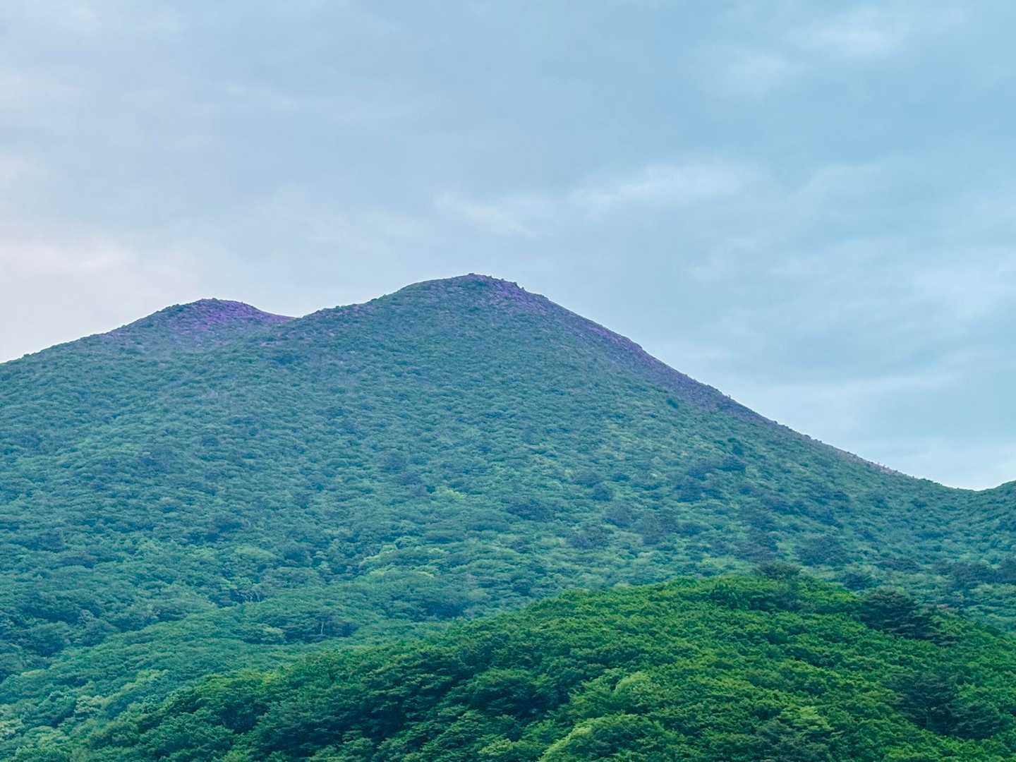 平治、ピンクに染まってるね
楽しみですwww
