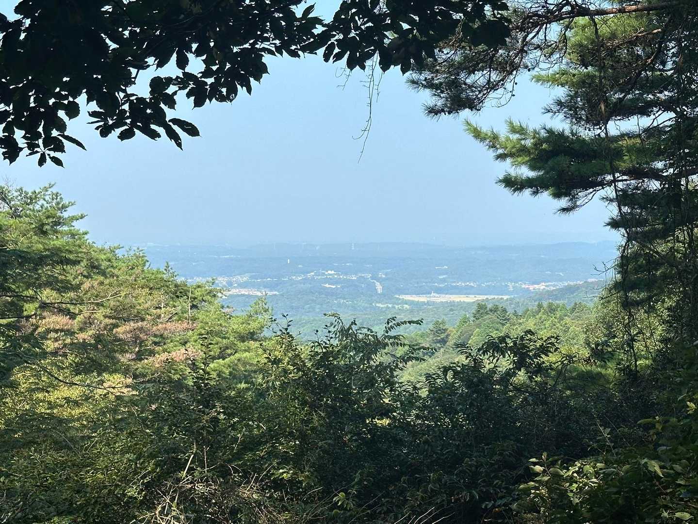 真弓山 往復コースの写真