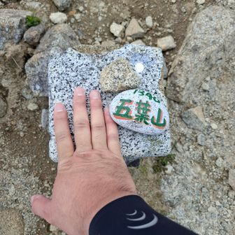 三角点にタッチ