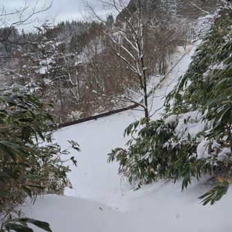 林道とアクセスできるコル。
真っ白でしたが、数日で解ける気もする⛄️