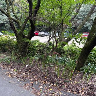 尾崎南運動公園駐車場。