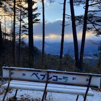 定点ペプシベンチ
ちなみに、水平合わせて撮ってます