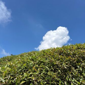 雲が近くに感じます！
