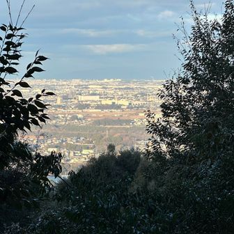 だいぶ木が伸びたね、見える範囲が限定されている