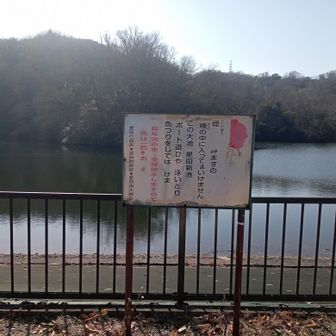 21座に立ち、標高差140mの急坂を下り、星田新池に出ます。食事を取り、中盤戦に備えました。ここからJR星田駅に戻る方もいらっしゃいました。