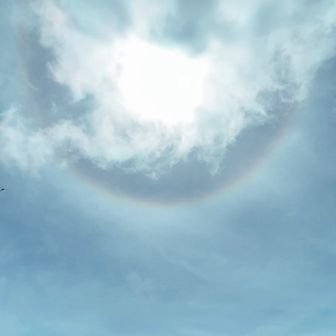 ⛰️ヤーマン⛰️