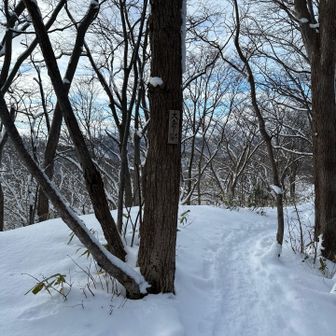 ピークですが先に進みます