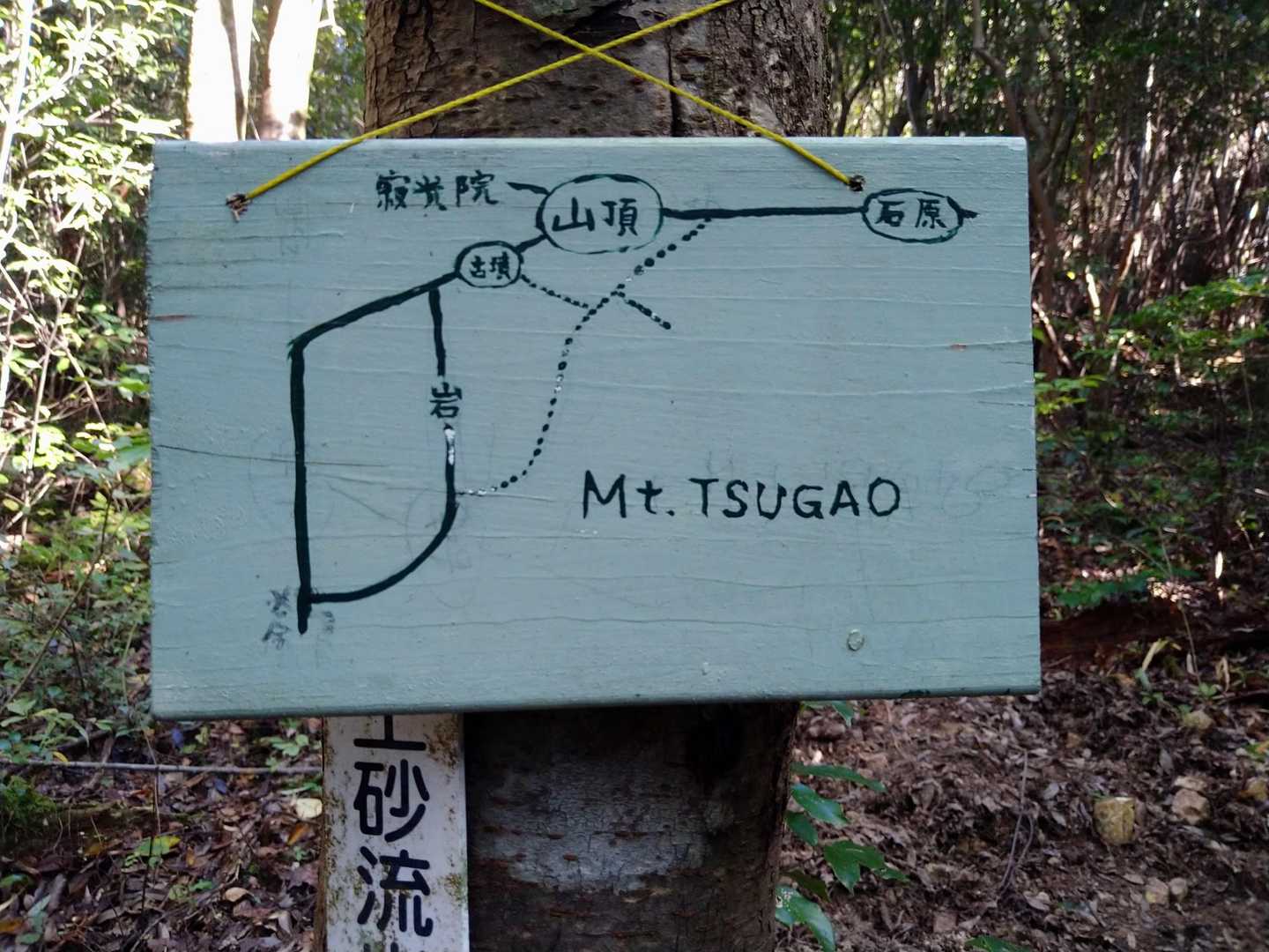 可愛い案内板が有りほっこりしました
