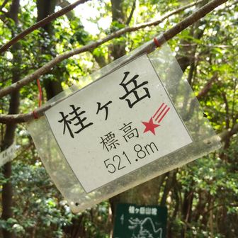 山頂標識　その④