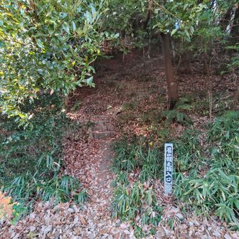 ここからスタート！