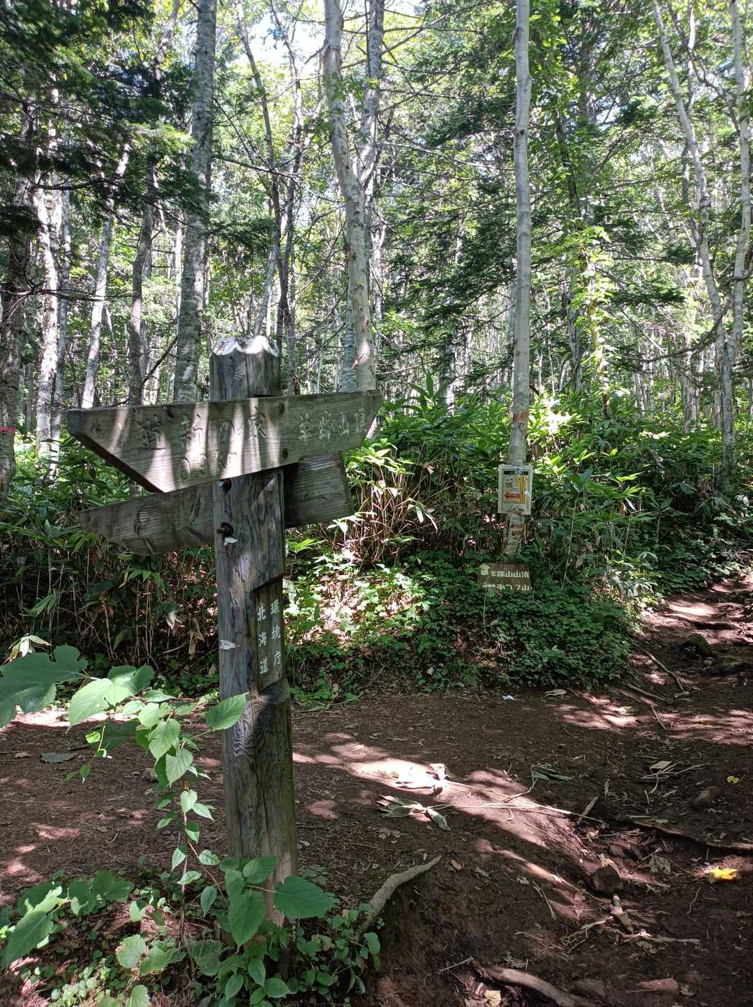 この日は晴天🌞
木陰がありがたいです🌳