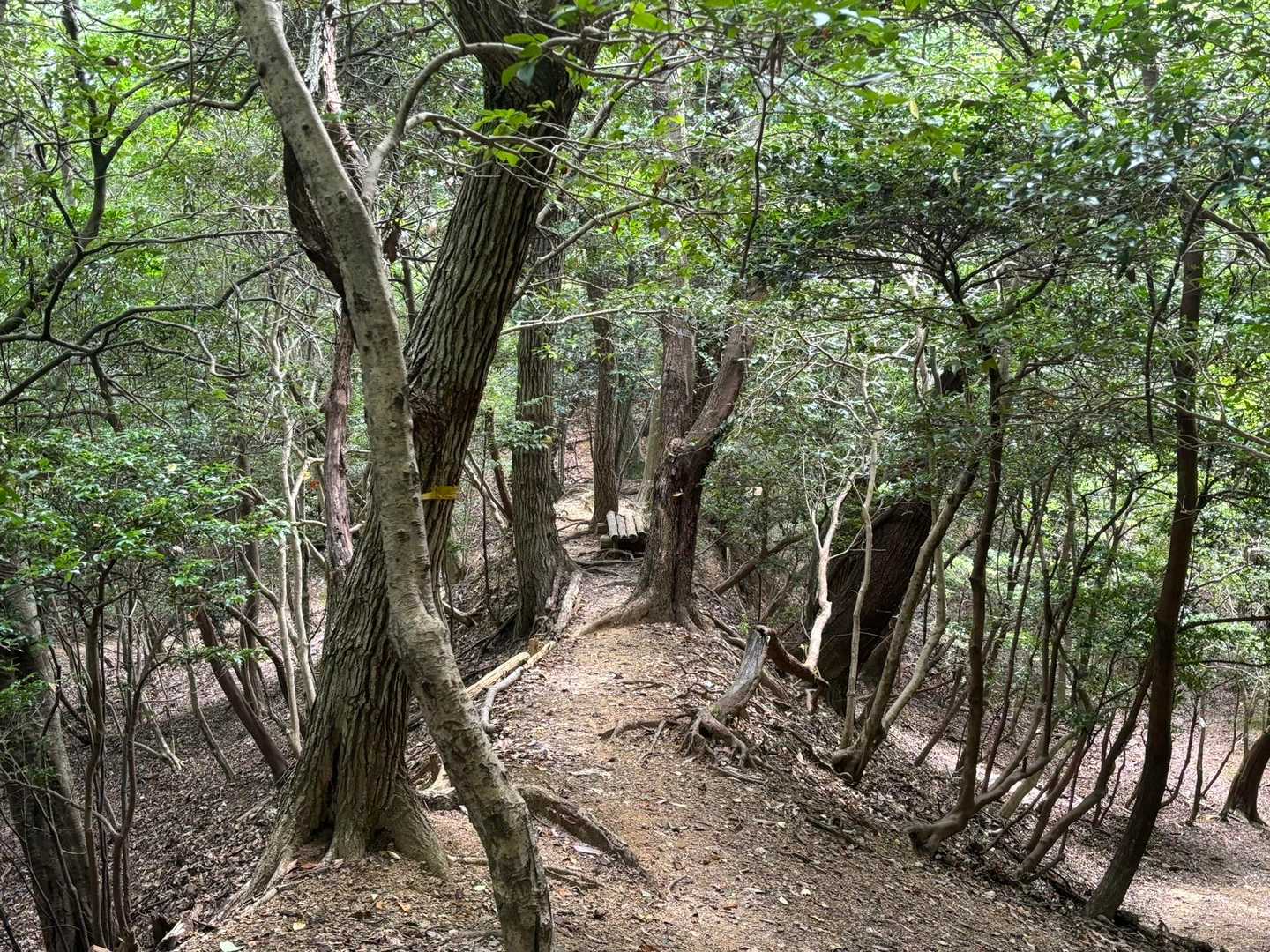 ここもいい道　常連さんは銀座通りと呼んでるらしいですね
ベンチもあります✨