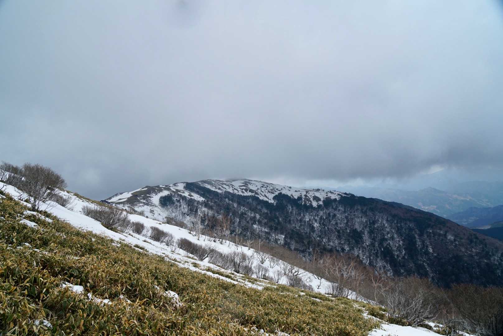 天狗塚登山口-第1ピーク 往復コースの写真