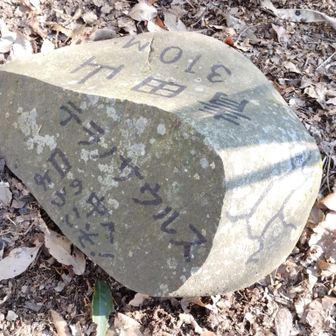 笑える😆　
確かに軌跡上、ここの位置はティラノサウルスの口の中（笑）