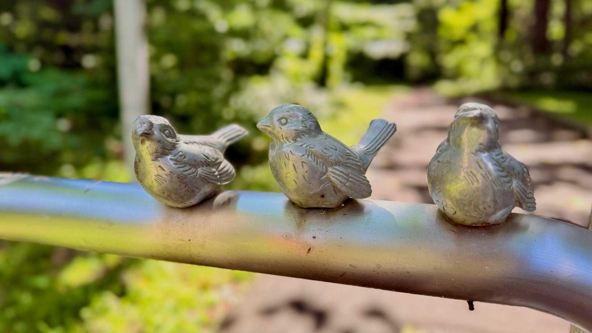 ゴール地点への🐥へ戻ってきました