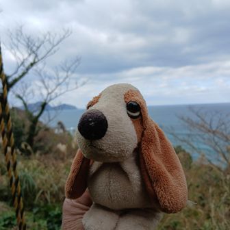 余り嬉しくなさそう
今さら機嫌をとりやがってと、あきれ顔
何ですかね？
ぬこ様🤭