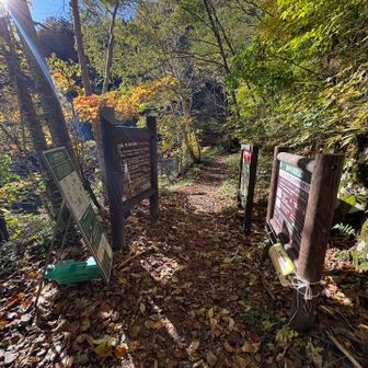 登山口到着〜。