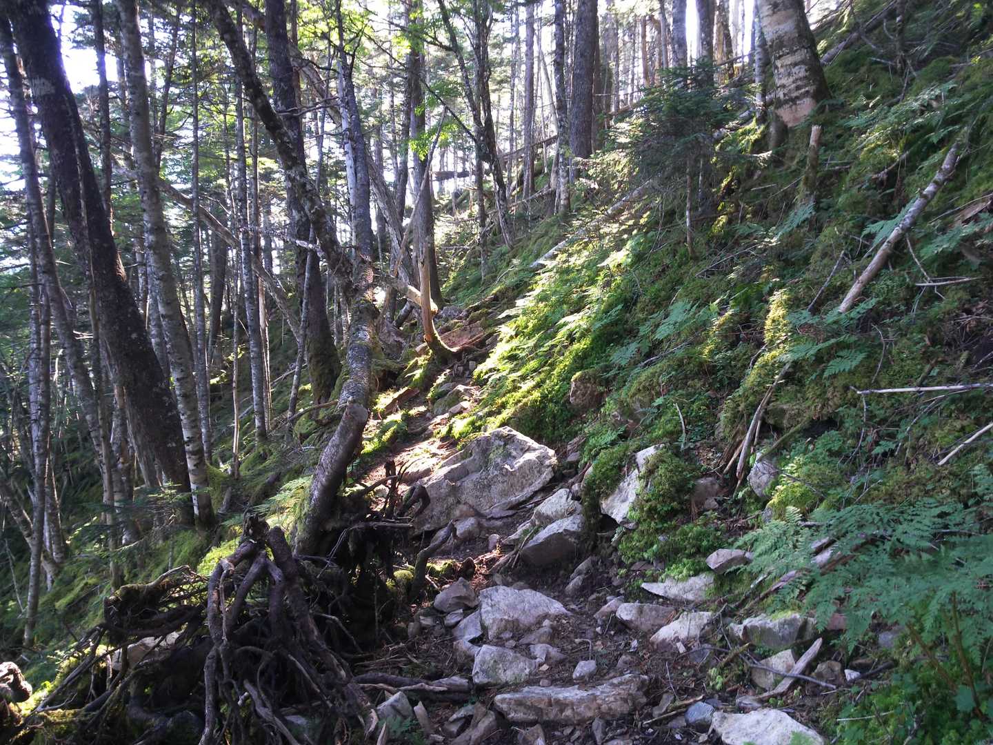 長くて荒れた巻き道
