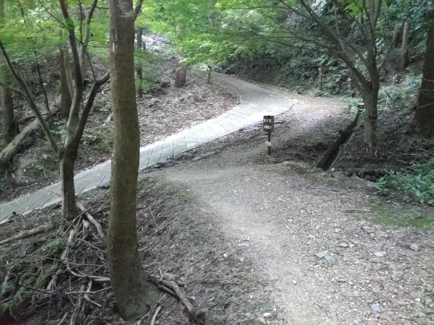 鴨神社とｺﾝｸﾘｰﾄ道の分岐点