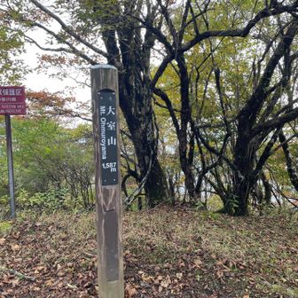 大室山山頂は眺望あまりないです。手前の西の肩で休憩＆ビューがお勧め
