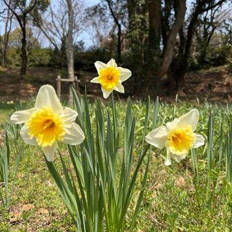 かわいいなぁ〜(*´˘`*)♡
お花は癒しですね︎💕︎
