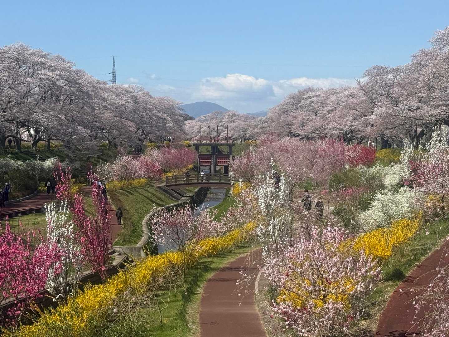 船岡城址公園🌸 / shinpe-の登山データ | YAMAP / ヤマップ