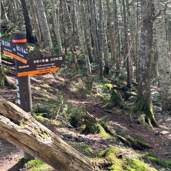 サクサク２時間ちょいで下山
バス乗車までだいぶ時間があるので
長衛小屋を今後のために偵察🕵️