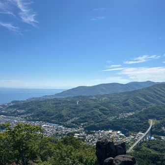 カタモト