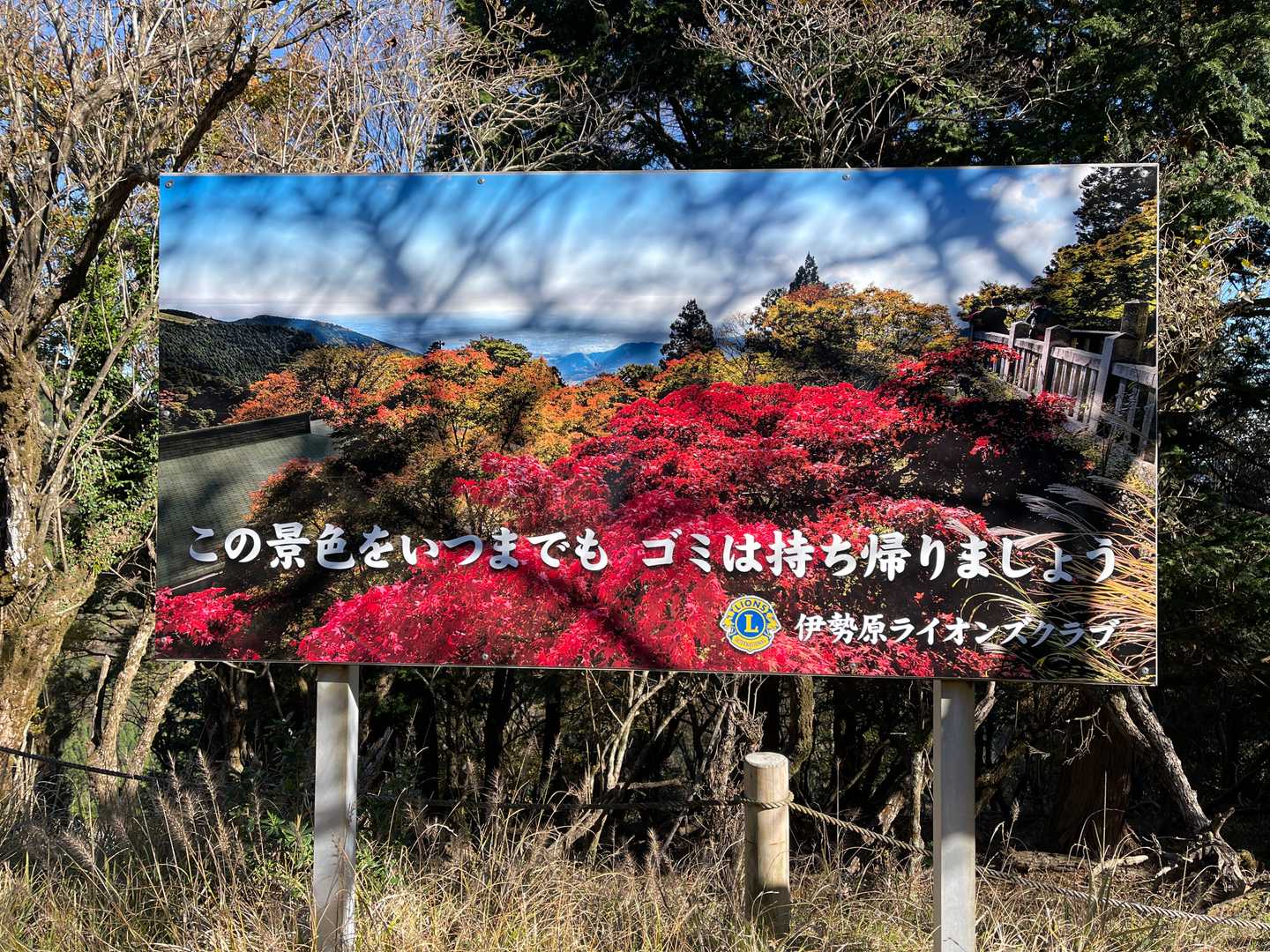 九十九曲（関東ふれあいの道）を登り見晴台へ
