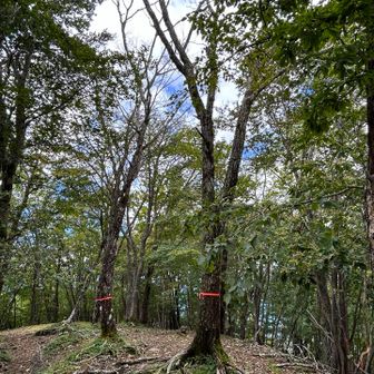 東、中央、西と３つのビークがありますが、
西峰が1番眺望が良くて、ベンチandテーブルも🙆‍♀️