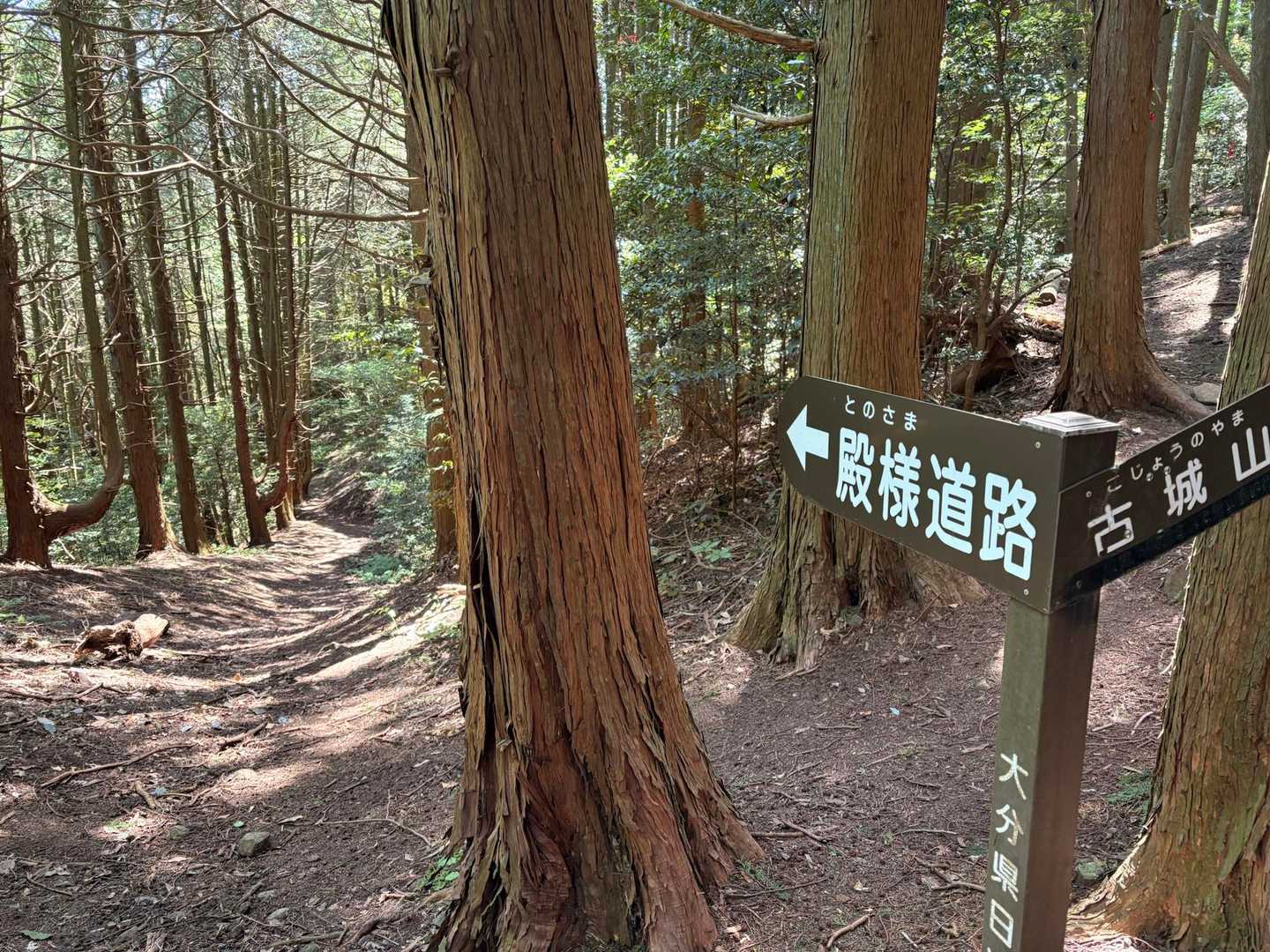 分岐を右へ
まずは古城山へ