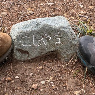 越山
ピークはとれてたけど
コレ見るのは初めて