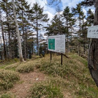 北峰でランチをすするもかなり憔悴。
13時を過ぎて予定より遅れ始めてしまってるうえ、空模様がけっこう怪しくなってきてオジチャンのギザギザハートはにわかに不安の影で覆われてしまう。

南信は前日けっこうな夕立があったようで、ジャンクションからの激下りは雨の中ではかなり危険。
かなり脚にきていてゆっくり休憩したいところだけどランチもそこそこに下山することに。