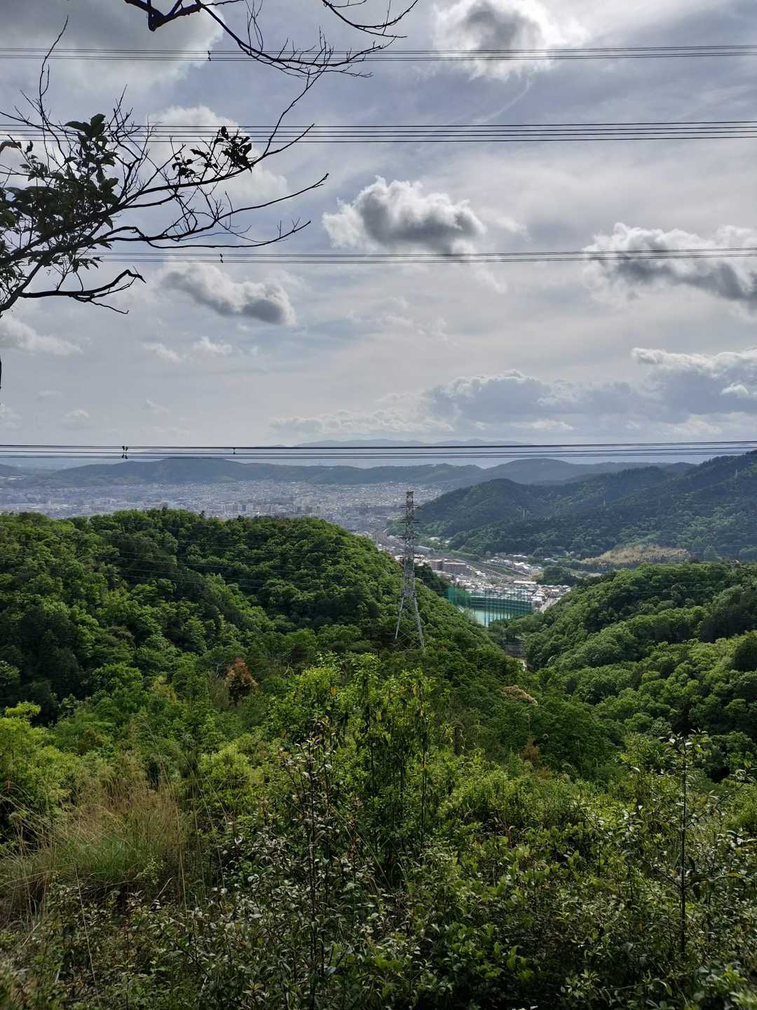逢坂山 往復コースの写真